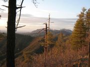 West Spruce Mountain, Arizona