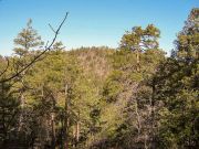 West Spruce Mountain, Arizona