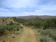 White Mountain Tonto NF, Arizona