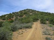 White Mountain Tonto NF, Arizona