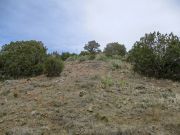 White Mountain Tonto NF, Arizona