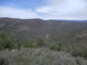 White Mountain Tonto NF, Arizona