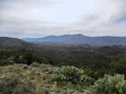 White Mountain Tonto NF, Arizona