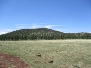 Whiting Knoll, Arizona