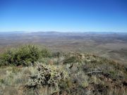 Whitlock Mountain, Arizona