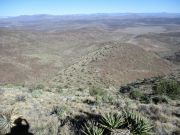 Whitlock Mountain, Arizona