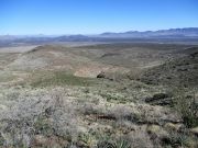 Whitlock Mountain, Arizona