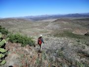 Whitlock Mountain, Arizona