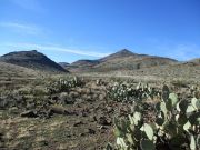 Whitlock Mountain, Arizona