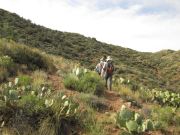 Wickenburg Mountains, Arizona