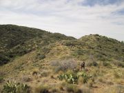 Wickenburg Mountains, Arizona