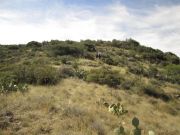 Wickenburg Mountains, Arizona