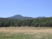 Bill Williams Mountain, Arizona