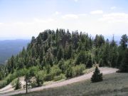 Bill Williams Mountain, Arizona