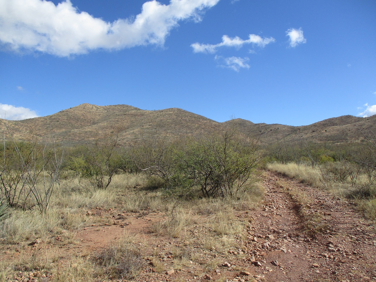 Peak 5962 (Patio Peak), Arizona --- Peakbagging, Highpoints and ...