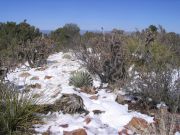 Apache Peaks Globe, Arizona