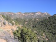 Apache Peaks Globe, Arizona