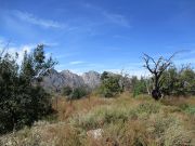 Buckhorn Mountain, Arizona