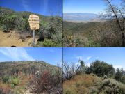 Buckhorn Mountain, Arizona