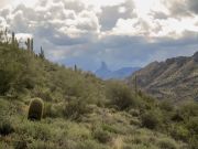 Mormon Flat Peak, Arizona