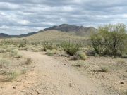 Daisy Mountain, Arizona