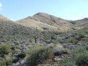 Daisy Mountain, Arizona