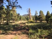 Doyle Peak, Arizona