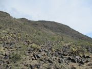 Face Mountain, Arizona