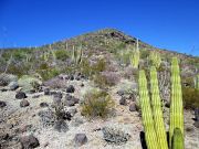 Guadu Benchmark Cipriano Hills, Arizona