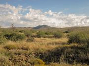 Humboldt Mountain, Arizona