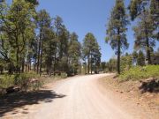 Mingus Mountain, Arizona