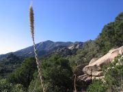 Rincon Peak, Arizona