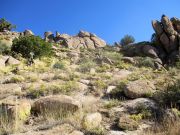 Rockinstraw Mountain, Arizona