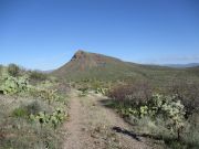 Saddle Mountain, San Carlos Nation