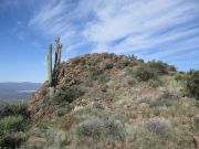 Saddle Mountain, San Carlos Nation