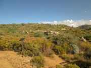 Humboldt Mountain, Arizona
