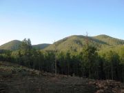 Sitgreaves Mountain, Arizona