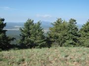 Sitgreaves Mountain, Arizona